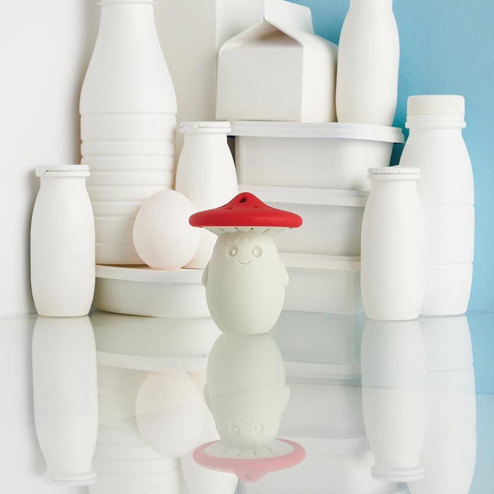 Reusable Refrigerator Odor Absorber