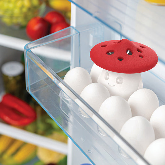 Reusable Refrigerator Odor Absorber